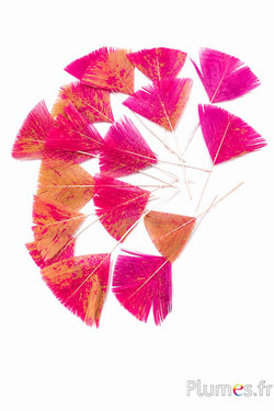 Verenblaadjes - 6-8 x 3-4 cm - curry-fuchsia
